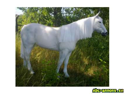 Häst i naturlig storlek grå/vit 250 cm