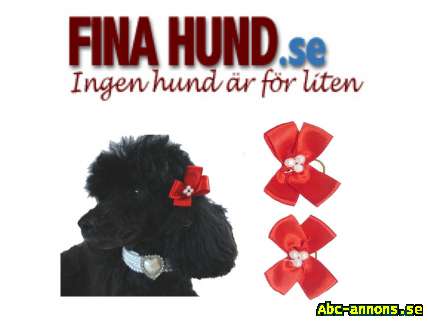 FINA HUND.se har D-ringar Nylonband