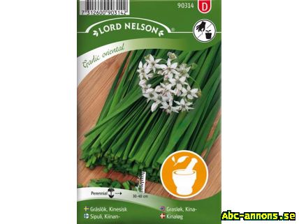 Frö för Gräslök - Kinesisk - Garlic orie